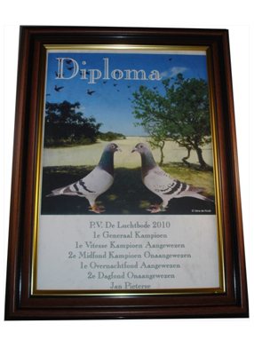 Diploma-model-2016-2017-1