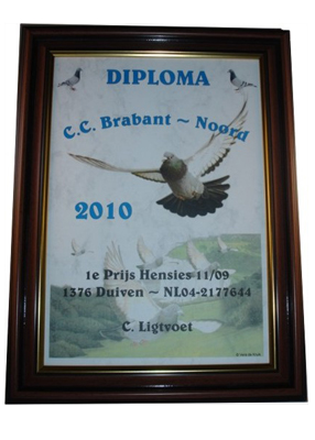 Diploma-model-2016-2017-4