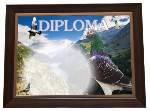 Diploma-model-2017-2018-2