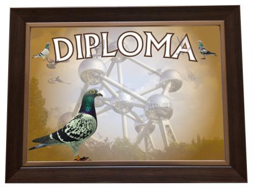 Diploma-model-2017-2018-3
